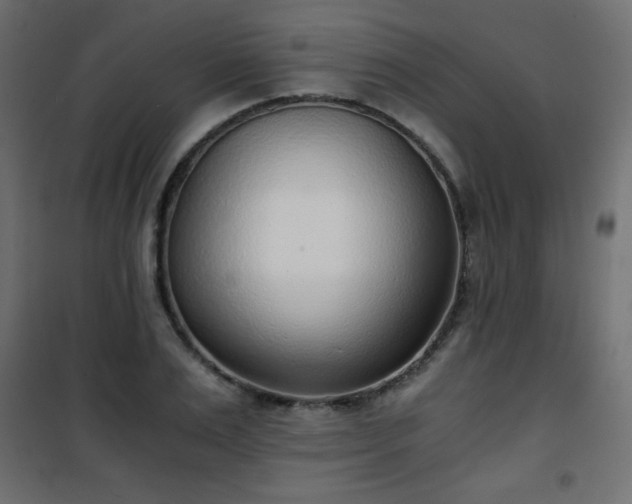 X0000101430983200807141237