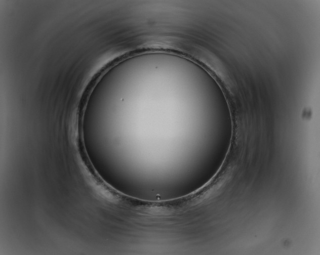 X0000101430984200807141237