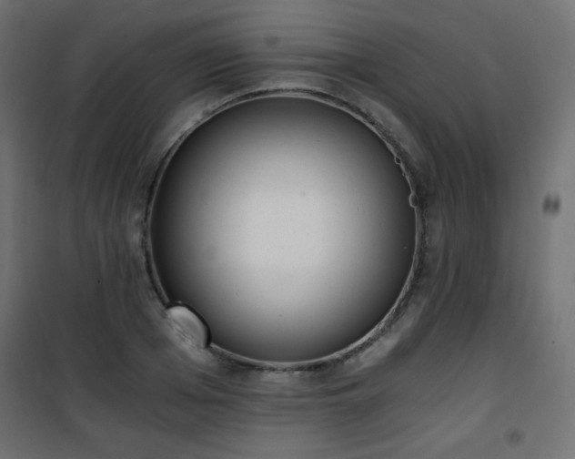 X0000101430985200807141237