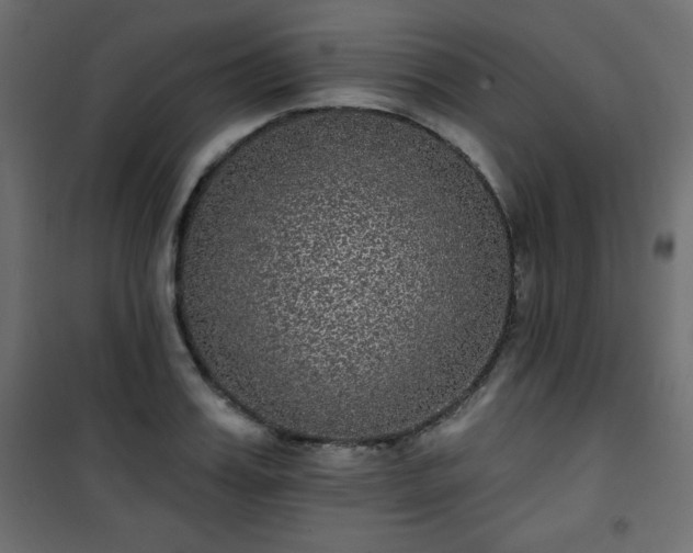 X0000101430987200807141237