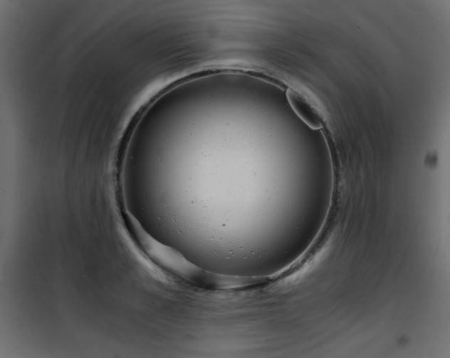 X0000101430989200807141237