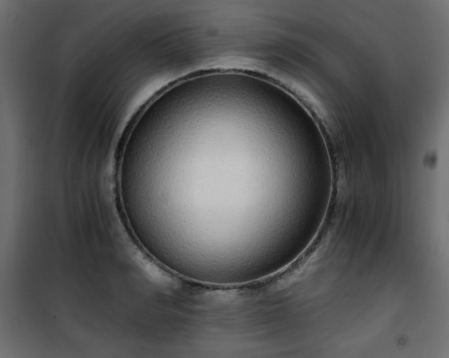 X0000101430990200807141237
