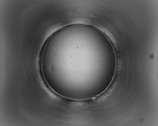 X0000101430991200807141237