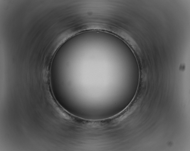 X0000101430993200807141237