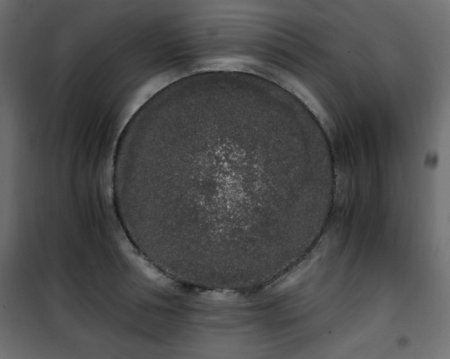 X0000101430994200807141237
