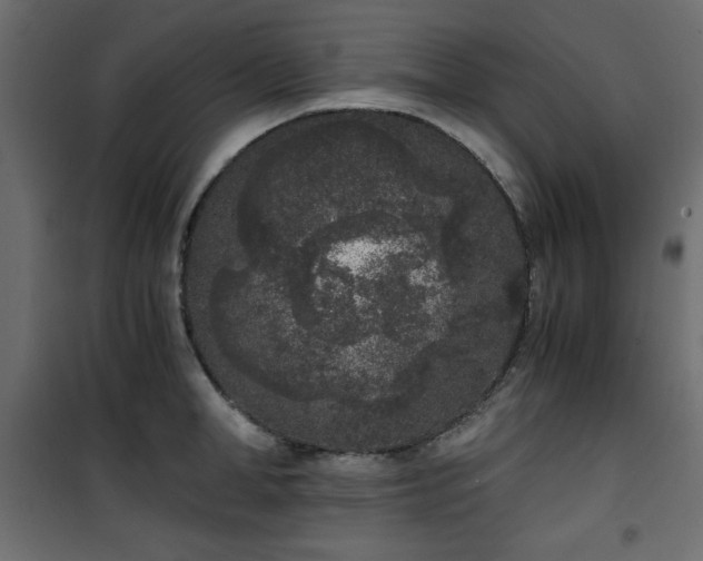X0000101430998200807141237