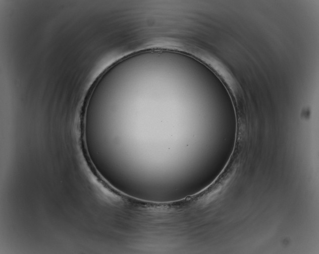 X0000101430999200807141237