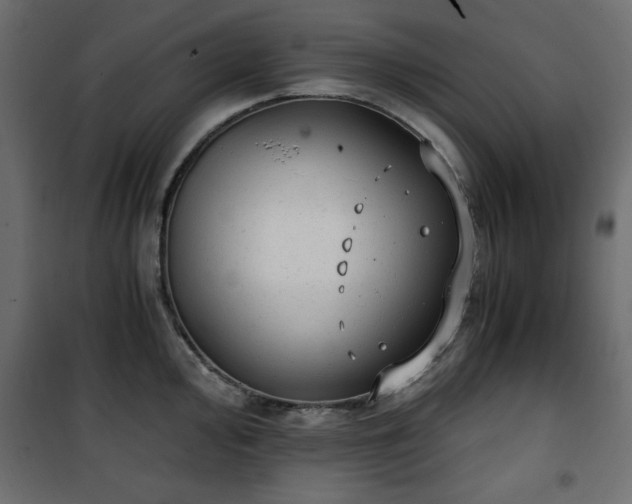X0000101431000200807141237