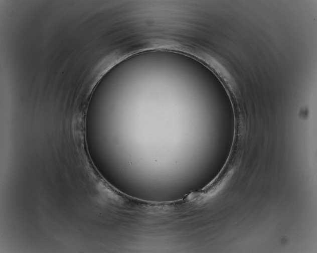 X0000101431001200807141237