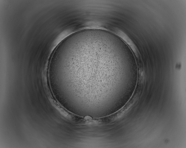 X0000101431002200807141237