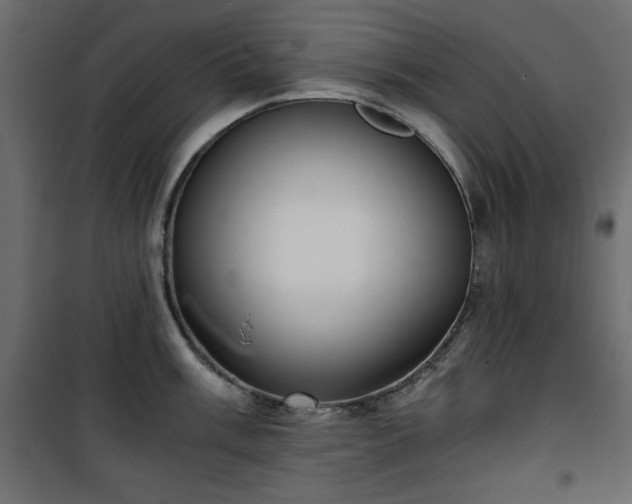 X0000101431003200807141237