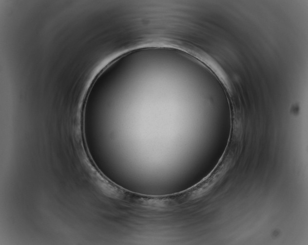 X0000101431004200807141237