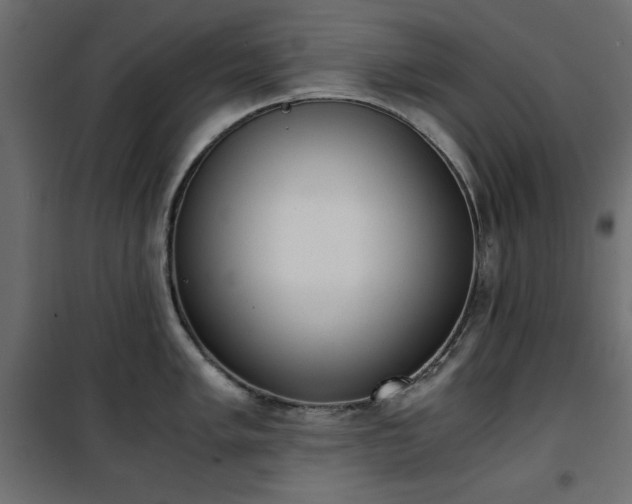 X0000101431005200807141237