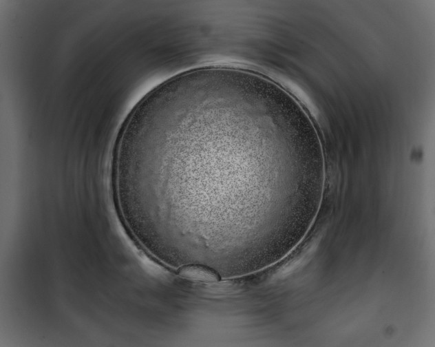 X0000101431007200807141237