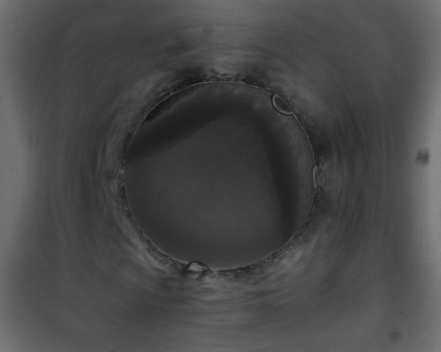 X0000101431009200807141236