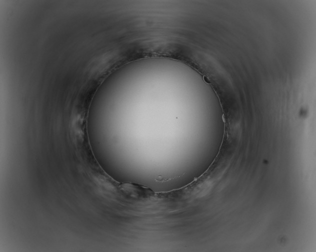 X0000101431010200807141236