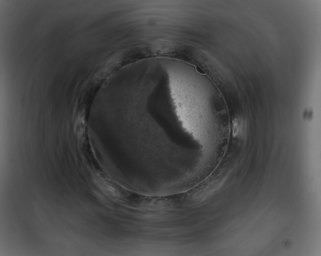 X0000101431011200807141236