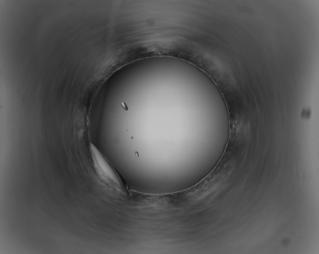 X0000101431012200807141236