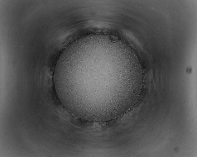 X0000101431013200807141236