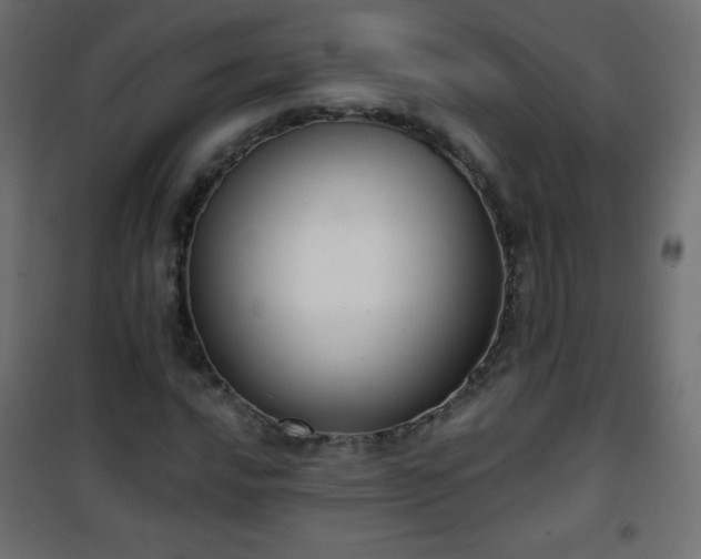 X0000101431016200807141236