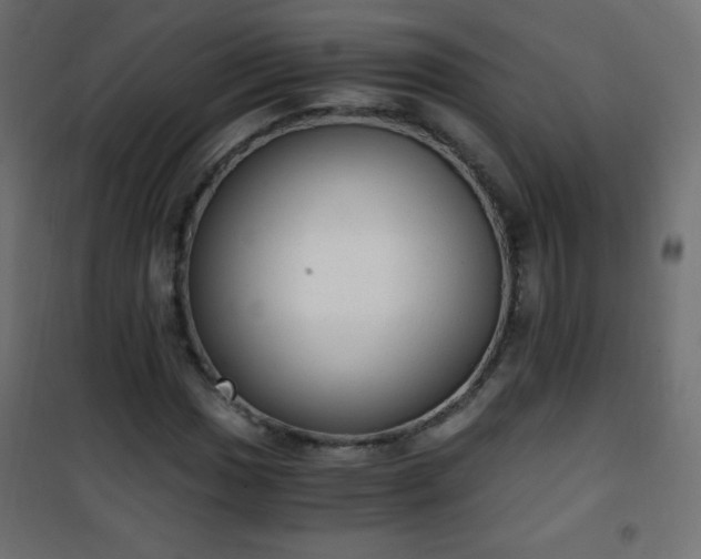 X0000101431017200807141236