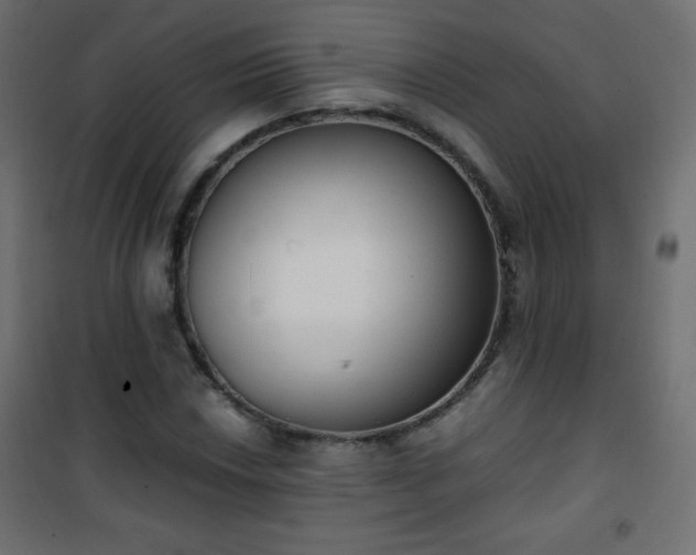 X0000101431018200807141236