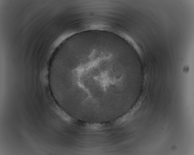 X0000101431019200807141236