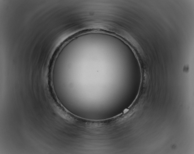 X0000101431020200807141236