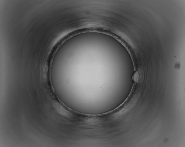 X0000101431021200807141236