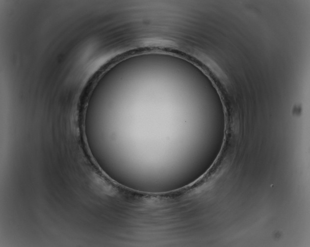 X0000101431022200807141236