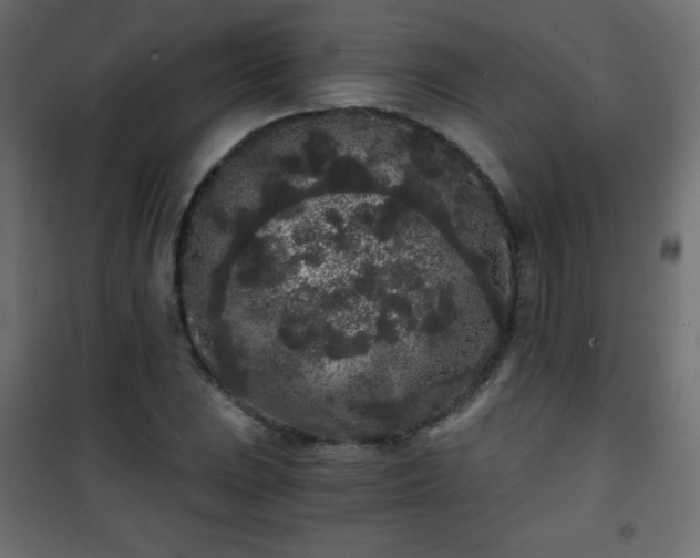 X0000101431023200807141236