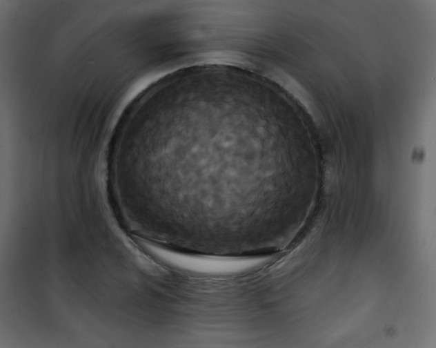 X0000101431024200807141236