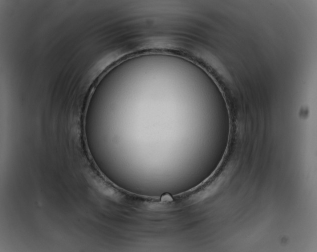 X0000101431025200807141236