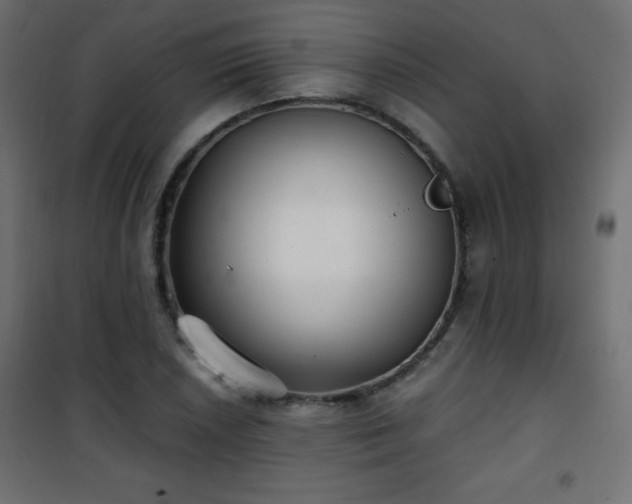 X0000101431026200807141236