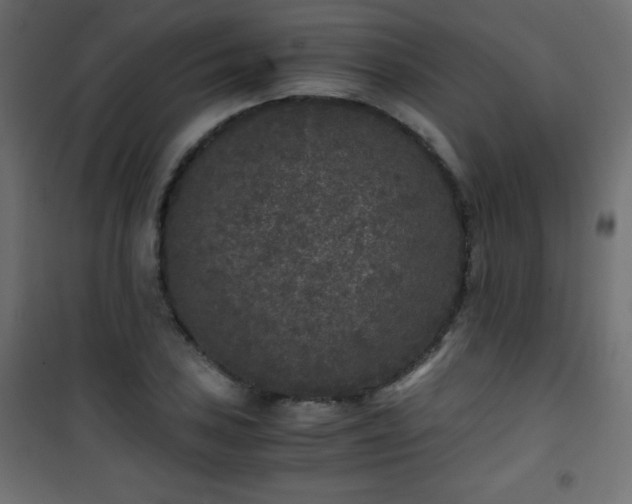 X0000101431027200807141236