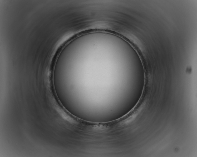 X0000101431029200807141236