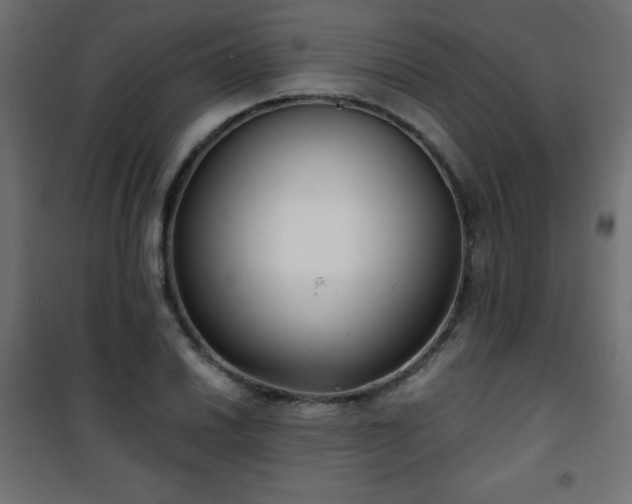 X0000101431030200807141236