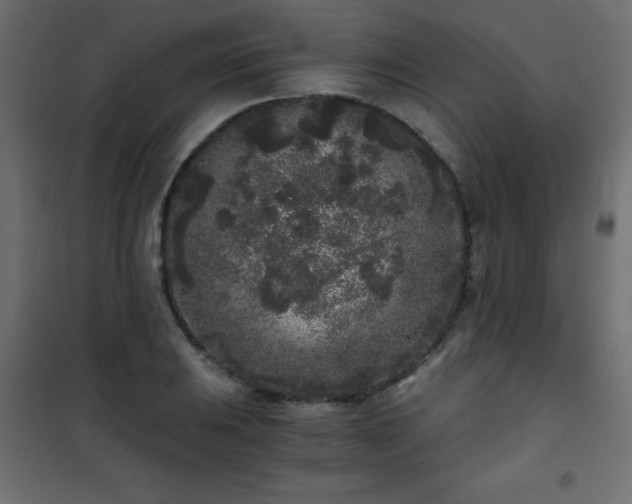 X0000101431031200807141236