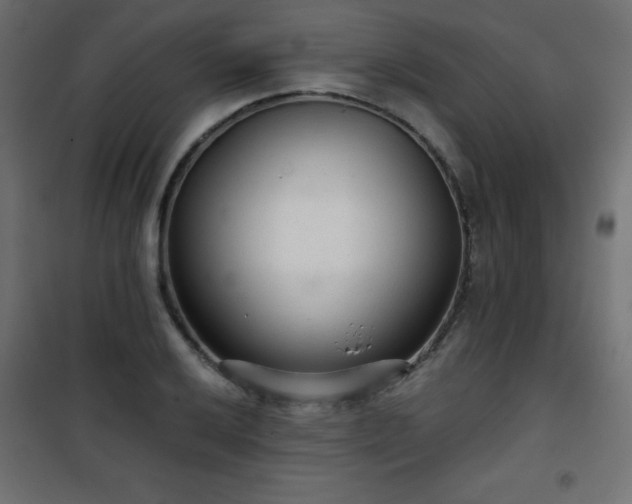 X0000101431032200807141236