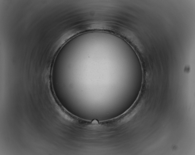 X0000101431033200807141236