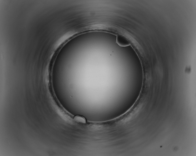 X0000101431034200807141236
