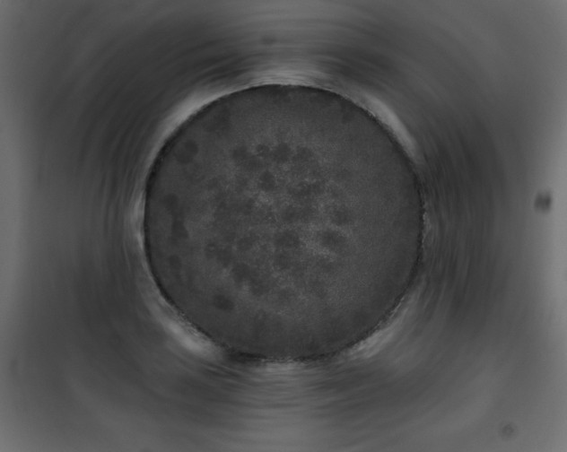 X0000101431035200807141236