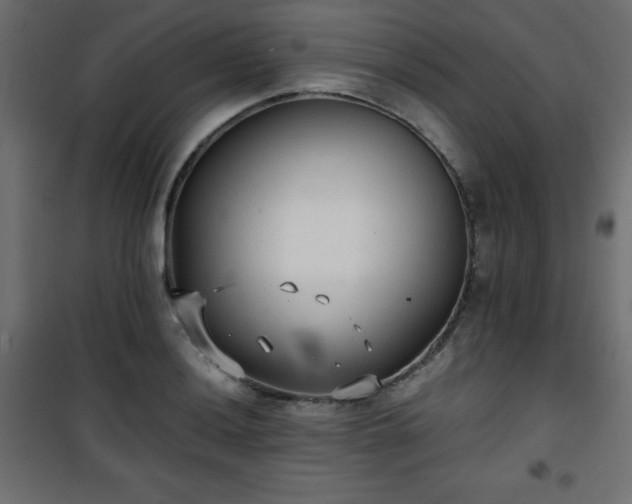 X0000101431036200807141236