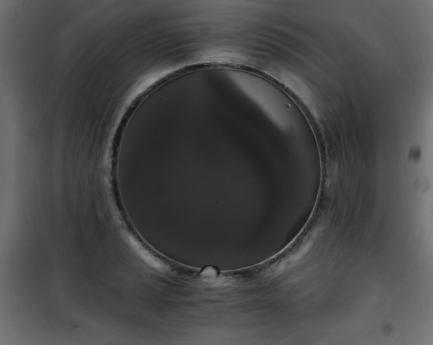 X0000101431037200807141236