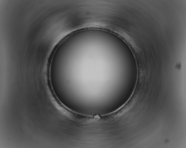 X0000101431038200807141236