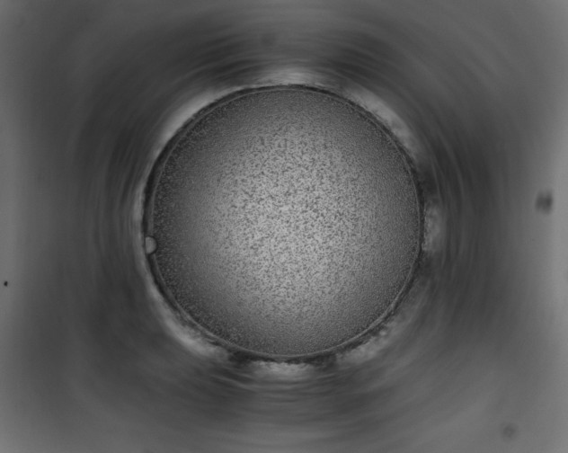 X0000101431039200807141236