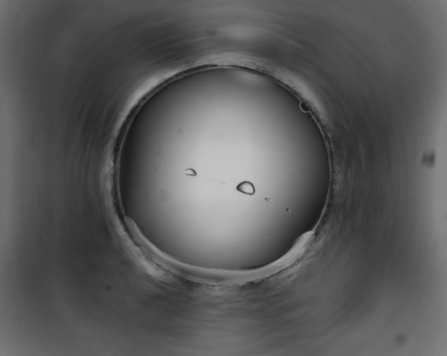 X0000101431040200807141236