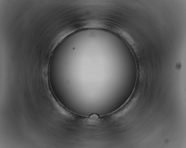 X0000101431041200807141236