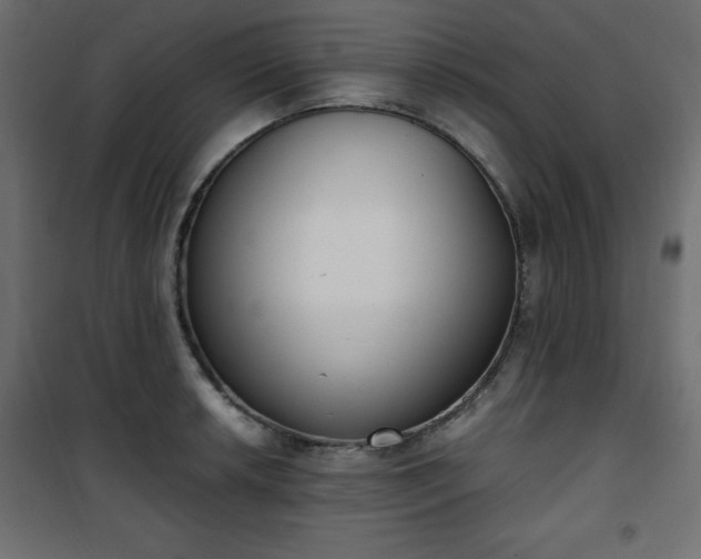X0000101431042200807141236