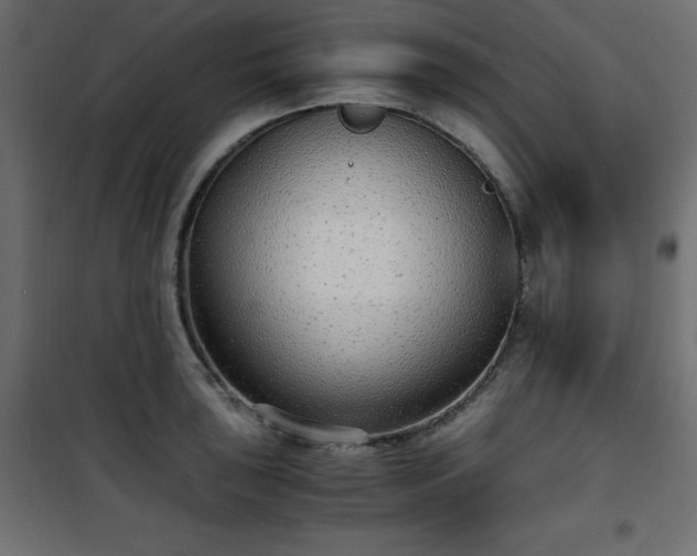 X0000101431043200807141236